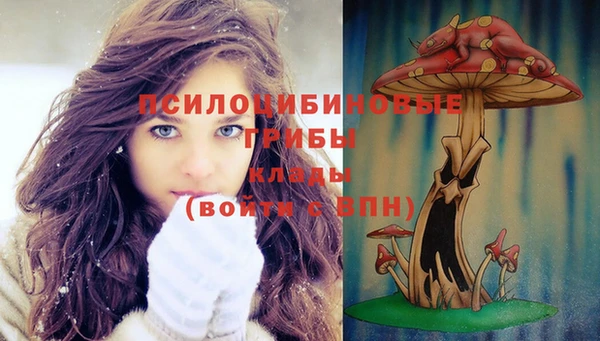 герыч Алексеевка