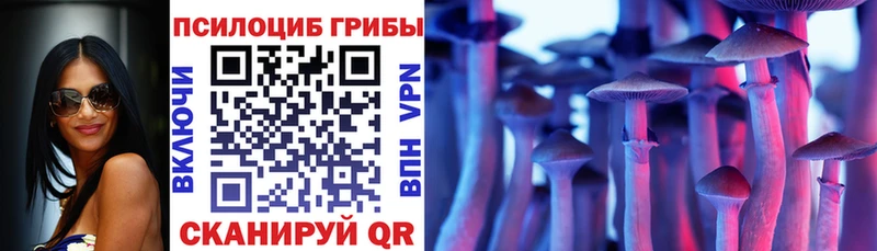 Галлюциногенные грибы Psilocybine cubensis  Одинцово 
